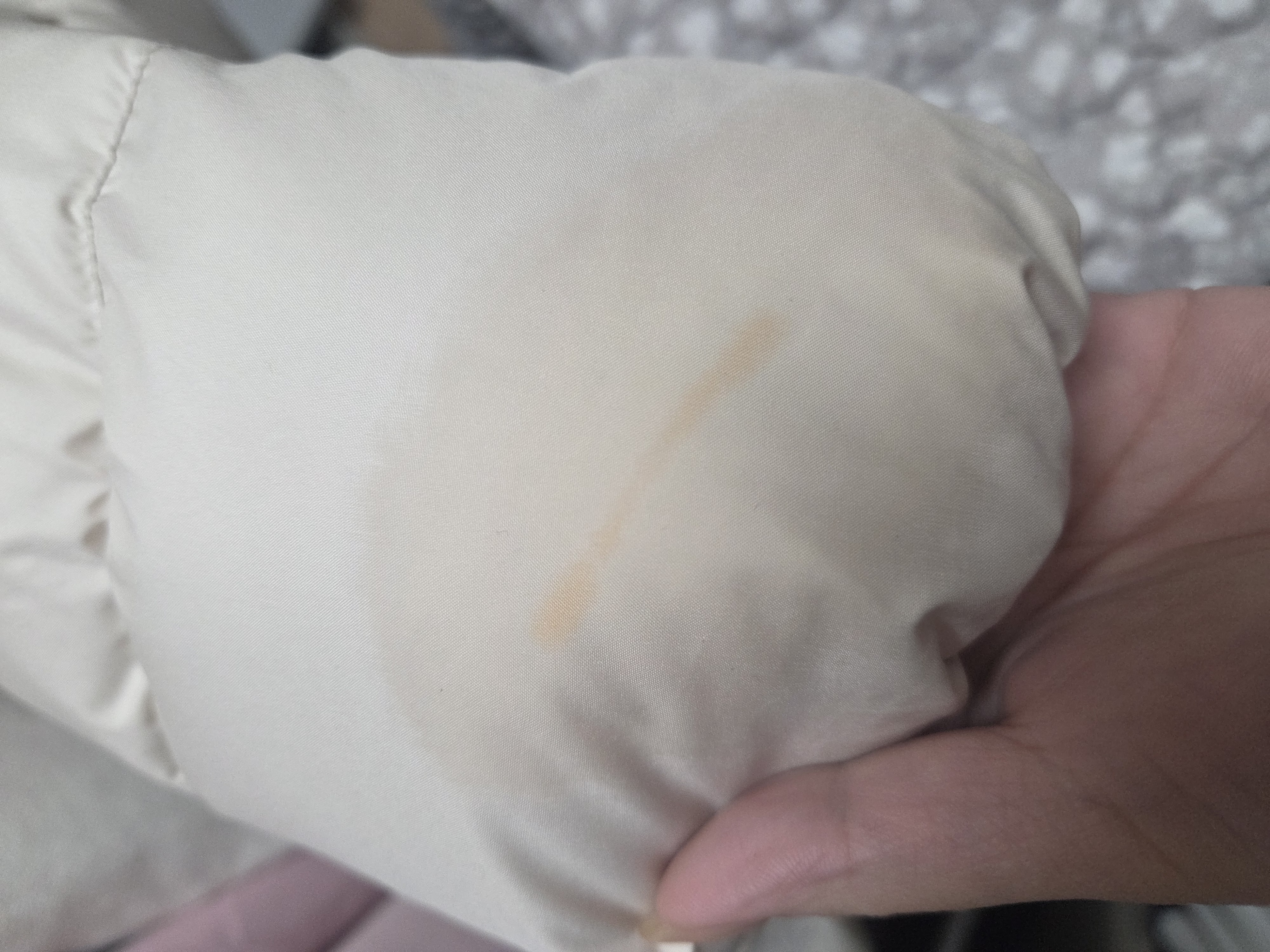 오염문의 이미지