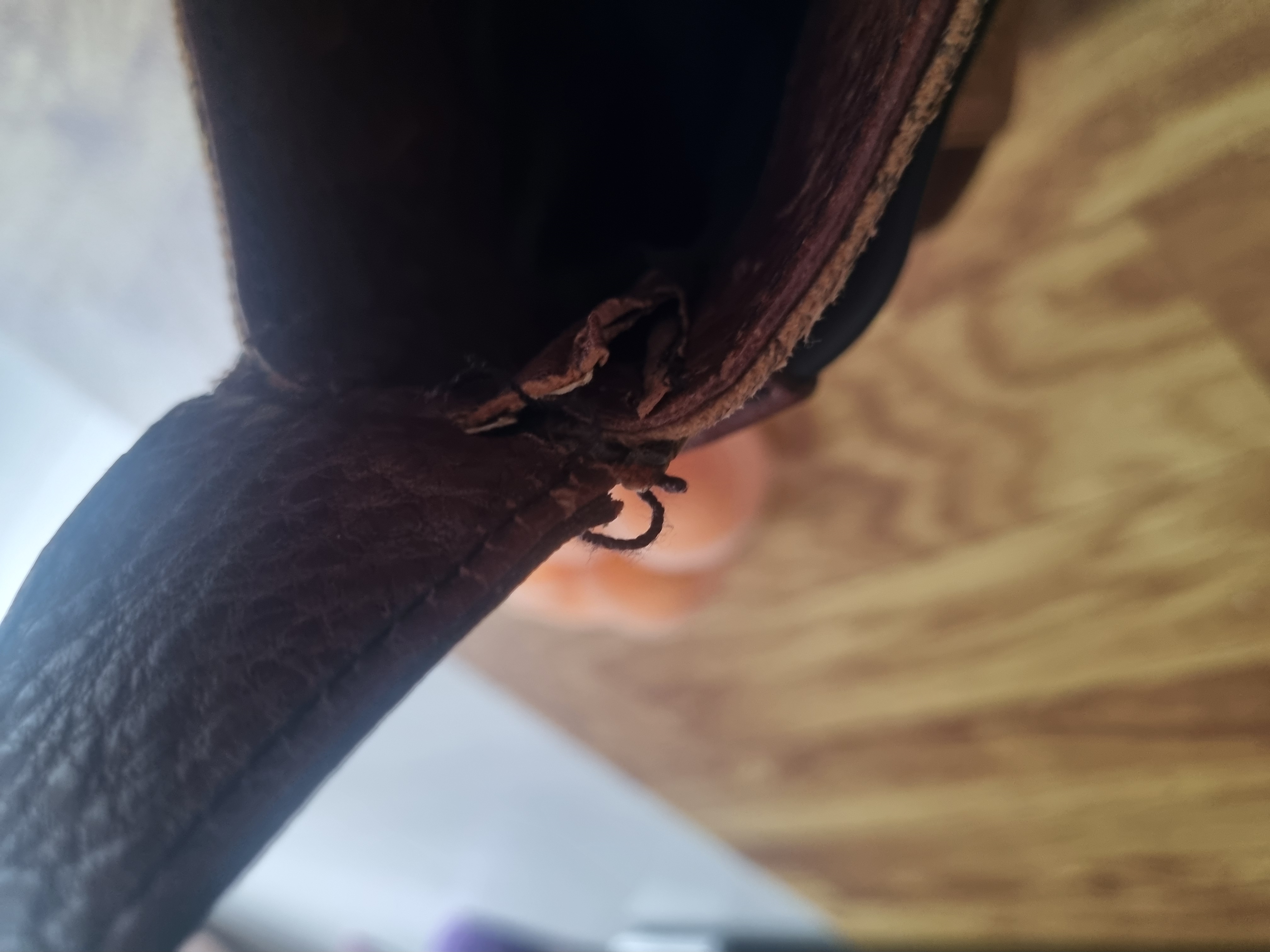 오염문의 이미지